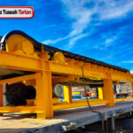 فیدر زنجیری (Chain Feeder)